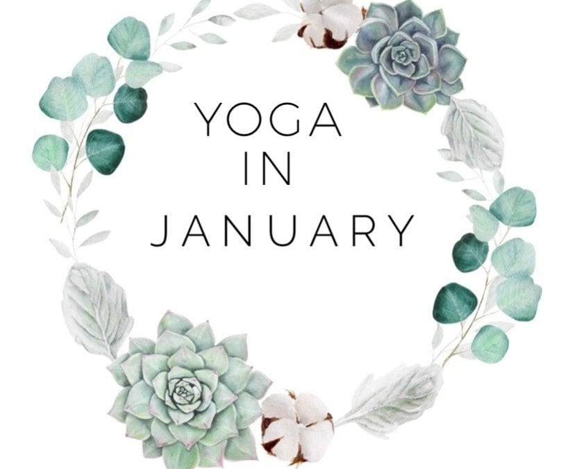 New Year, New Yoga Schedule – SUSPENDED